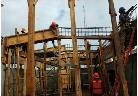 seyses y aselec en mexico